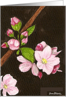 Pink Apple Blossom Blank Floral Card Art by AnnaMarie card