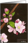 Pink Apple Blossom Blank Floral Card Art by AnnaMarie card