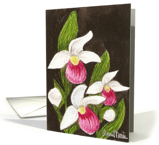 Pink Lady Slippers Blank Floral Card Art by AnnaMarie card (210090)