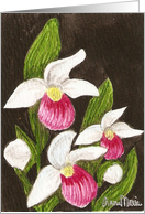 Pink Lady Slippers Blank Floral Card Art by AnnaMarie card