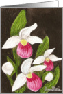 Pink Lady Slippers Blank Floral Card Art by AnnaMarie card