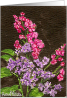 Pink Purple Lilacs Blank Floral Card Art by AnnaMarie card