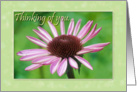 Thinking of You-Flower card