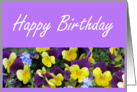 Birthday- Pansies card