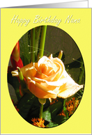 Birthday Rose Nana card