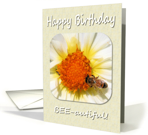 Bee Birthday card (253124)