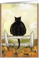 Halloween Cat card