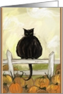 Halloween Cat card