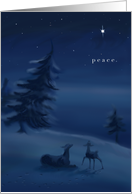 Peaceful Season card