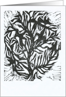 Linoleum 12/08 card