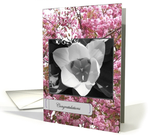 Congratulations card (216043)