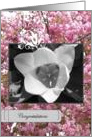 Congratulations card