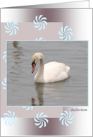 Reflection card