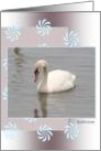 Reflection card