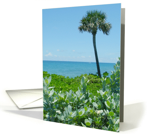 Palm & Ocean View card (216923)