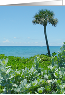 Palm & Ocean View card
