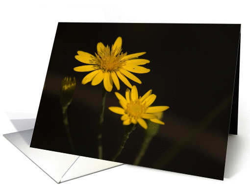 Yellow Flowers card (222667)