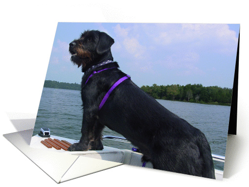 Dog wishes card (286781)