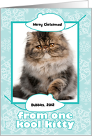 Pet Groomer Thank You Christmas Photo Card from Cat with Mice card