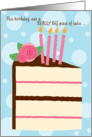 Leap Year Birthday Eat a Really Big Piece of Cake Funny Whimsical card