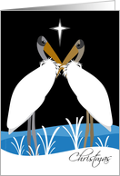 Christmas Wood Storks Bird Pair Black Sky with Christmas Star card