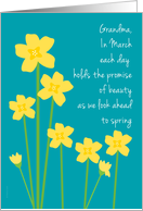 Grandma March Birthday Yellow Daffodils on Aquamarine Background card