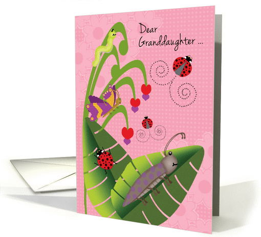 Granddaughter at Camp Cute Beetle Ladybugs Butterfly Inchworm card