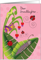 Granddaughter at Camp Cute Beetle Ladybugs Butterfly Inchworm card
