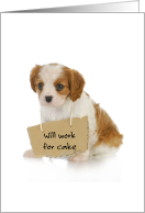 Birthday Cute Cavalier King Charles Spaniel Puppy Will Work for Cake card