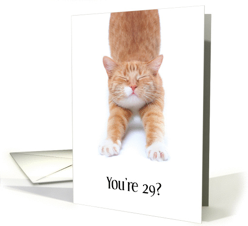 Funny Happy Birthday Stretching Yellow Cat card (1191938)
