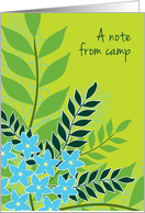 Camp Notes Letter...