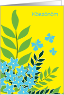 Koszonom Hungarian Thank You Cheery Blue Flowers and Butterflies card