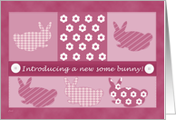 Baby Girl Birth Announcement Bunnies Bunny card