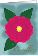 Camellia Birthday