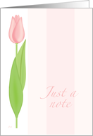 Pink Tulip Note Card