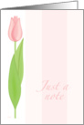 Pink Tulip Note Card