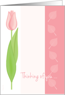 Pink Tulip Thinking...