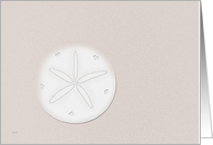 Sand Dollar Valentine Card