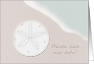 Sand Dollar Save the Date card