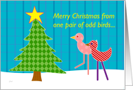 Odd Birds Christmas Our House to Yours card