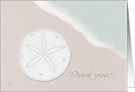 Sand Dollar & Ocean Thank You card