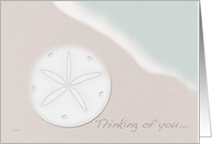 Sand Dollar & Ocean Thinking of You card