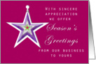 Tin Star Season’s Greetings For Business card
