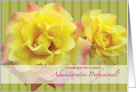 Administrative Professionals Day Yellow Roses card
