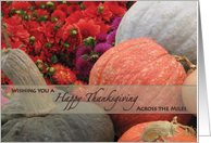 Thanksgiving Across the Miles Pumpkins Flowers card