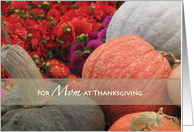 Thanksgiving Mom Mother Flowers Gourds card