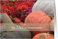 Thanksgiving Dad Father Pumpkins Gourds card