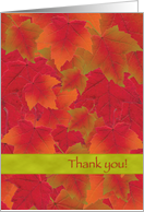 Thanksgiving Thank You Autumn Leaves Colorful card