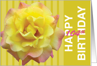 104th Birthday Yellow Rose card