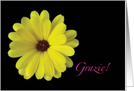 Italian Grazie Thank You Yellow Flower card